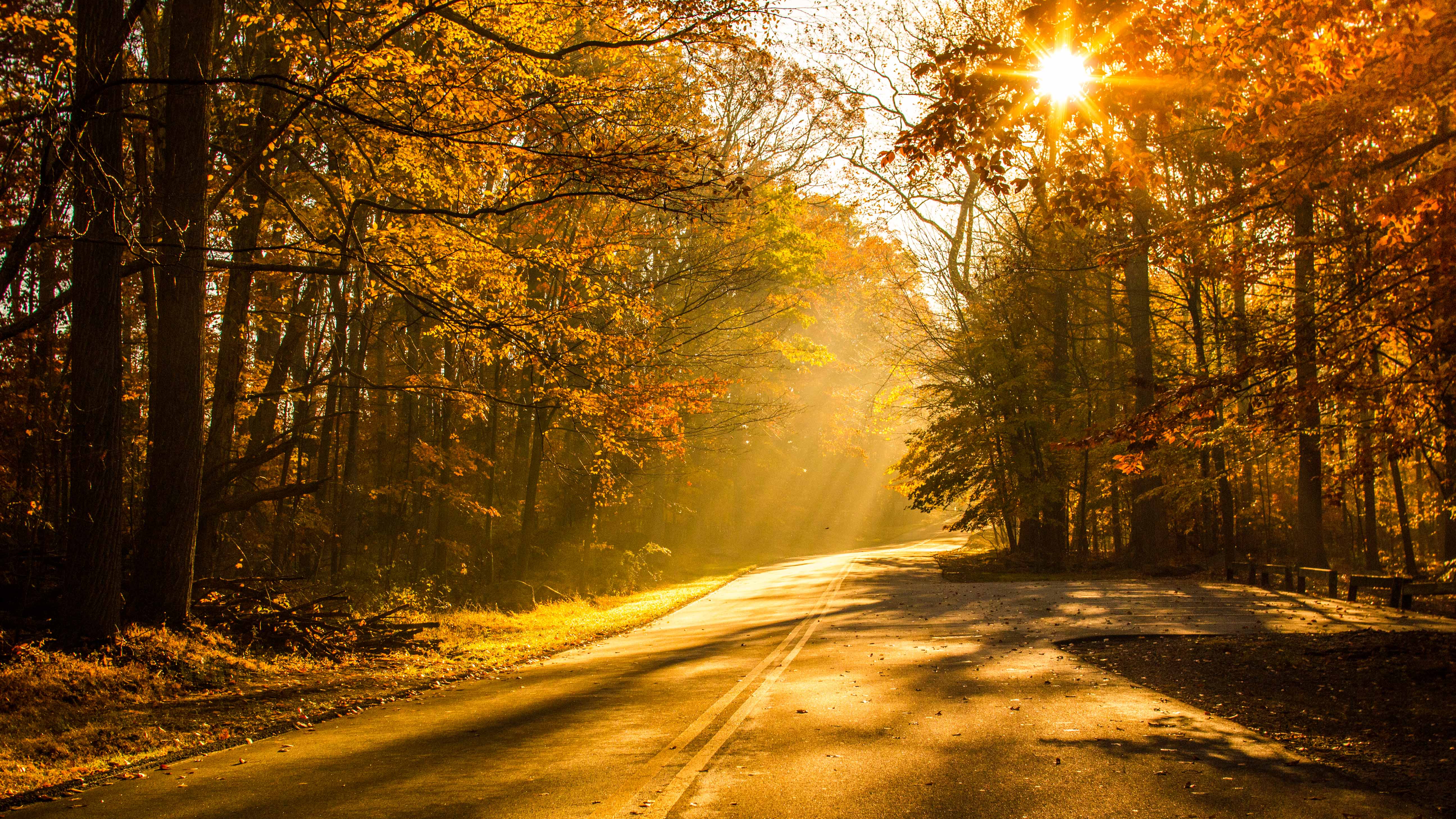 Autumn Drive Shutterbug